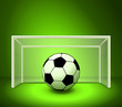 Vector Soccer ball on the green field