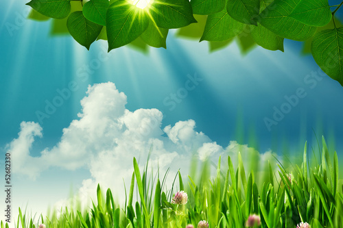 Photo: On the meadow, abstract natural backgrounds On the meadow, abstract natural backgrounds