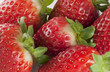 Fragole Rosse
