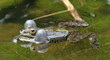 Frog bubbles