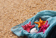 Starfishes on the beach