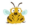 Funny bee