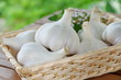 garlic in basket