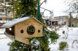 bird feeder hanging on branch in city park
