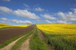 Colorful Landscape