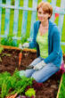Photo: Beautiful woman and organically grown carrots Beautiful woman and organically grown carrots
