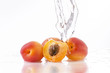 albicocche splash
