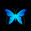 blue butterfly