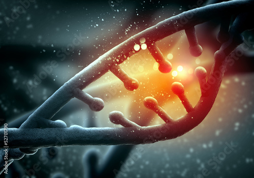 Illustration: DNA molecule DNA molecule