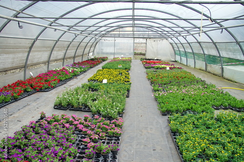 Photo: serre agricole serre agricole