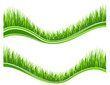 Two waves of green grass