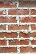 Mortar in Brick Wall Vertical