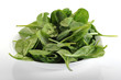 Foto: Spinach Spinach