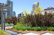 Green Roof against city skyline