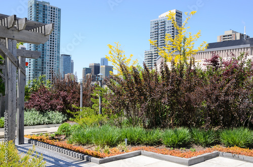 Photo: Green Roof against city skyline Green Roof against city skyline
