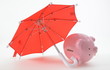 Rote Sonnenschirm Sparschwein