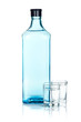 Gin bottle and two shots