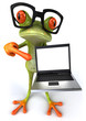 Fun frog
