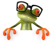 Fun frog