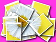 collage,Bellis perennis,daisy in front of colorful background