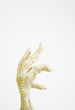 Chicken Claw