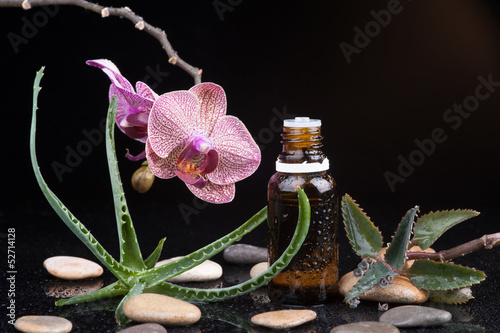 Photo: Herb leaf and Orchid with an aromatherapy essential oil Herb leaf and Orchid with an aromatherapy essential oil