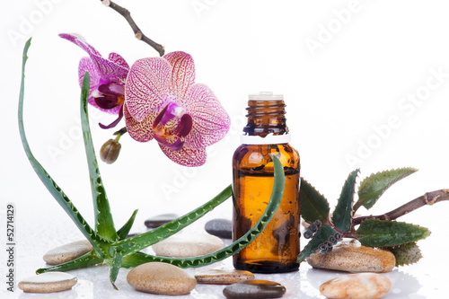 Photo: Herb leaf and Orchid with an aromatherapy essential oil Herb leaf and Orchid with an aromatherapy essential oil