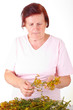 Photo: Frau mit Johanniskraut Frau mit Johanniskraut