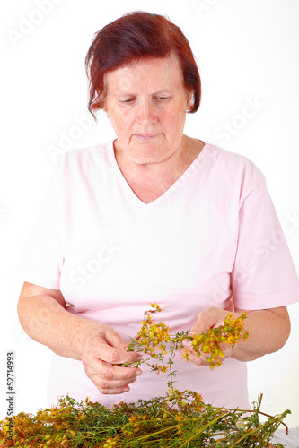 Photo: Frau mit Johanniskraut Frau mit Johanniskraut