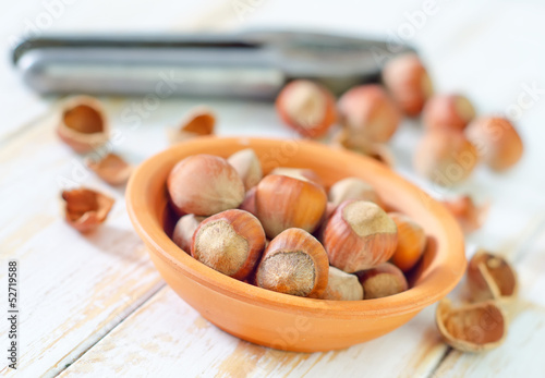 Photo: hazelnuts hazelnuts