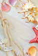 shells