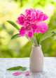 Photo: Pink peony Pink peony