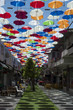 güneşlik