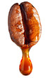 Drop of coffee dripping from coffee seed