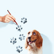 Funny spaniel dog
