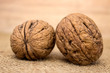 walnut
