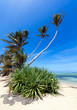 사진:Dreamy Beach Dreamy Beach