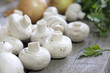 Champignon on wooden boards closeup