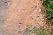 ground detail