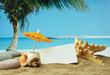 sandy beach on a tropical coast