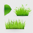 Vector: Set Of Dividers With Grass Set Of Dividers With Grass