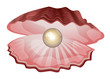 Shell with pearl