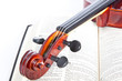 violin