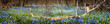 Carpet Of Blue Flowers In Spri...