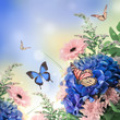 Bouquet from blue hydrangeas and  butterfly, a flower background