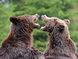 Foto: Bear Bear
