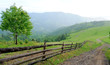 Mountain landscape