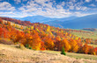Photo: Colorful autumn landscape in the mountains Colorful autumn landscape in the mountains