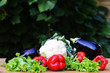 fresh vegetables