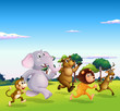 Five wild animals running